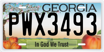 GA license plate PWX3493