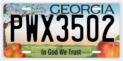 GA license plate PWX3502