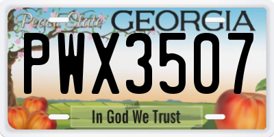 GA license plate PWX3507