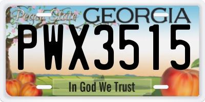 GA license plate PWX3515