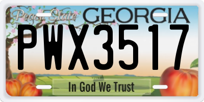 GA license plate PWX3517