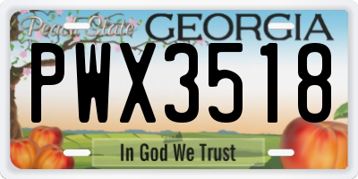 GA license plate PWX3518