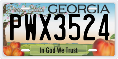 GA license plate PWX3524