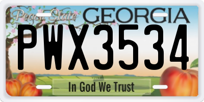 GA license plate PWX3534