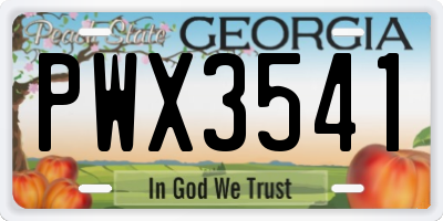 GA license plate PWX3541