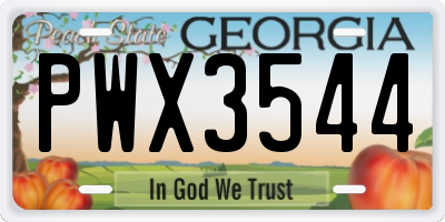 GA license plate PWX3544