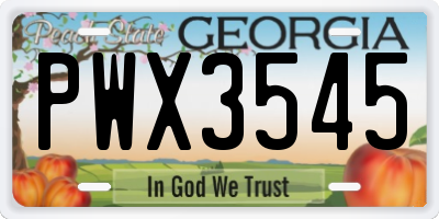 GA license plate PWX3545