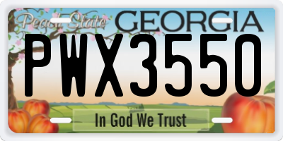 GA license plate PWX3550