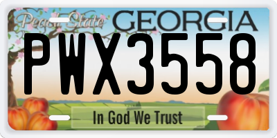 GA license plate PWX3558