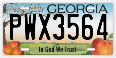 GA license plate PWX3564