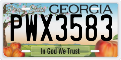 GA license plate PWX3583