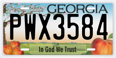 GA license plate PWX3584