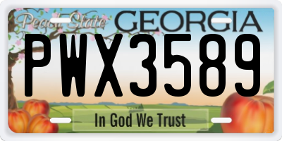 GA license plate PWX3589