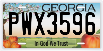 GA license plate PWX3596