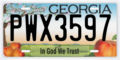 GA license plate PWX3597