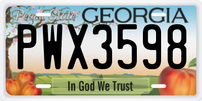 GA license plate PWX3598