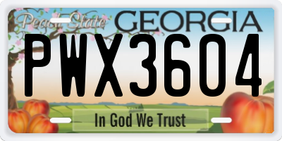 GA license plate PWX3604