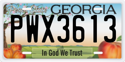 GA license plate PWX3613