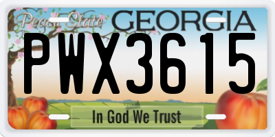 GA license plate PWX3615
