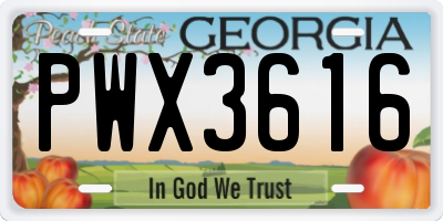 GA license plate PWX3616