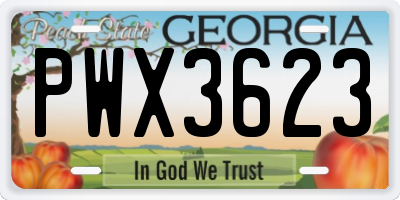 GA license plate PWX3623