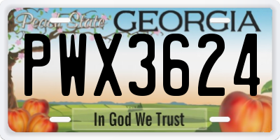 GA license plate PWX3624