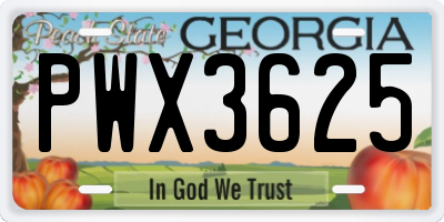 GA license plate PWX3625