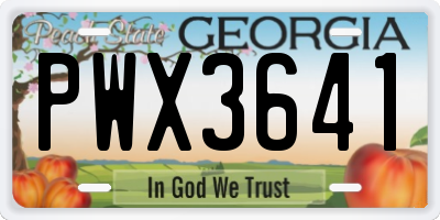 GA license plate PWX3641
