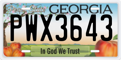 GA license plate PWX3643
