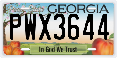 GA license plate PWX3644