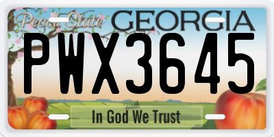 GA license plate PWX3645