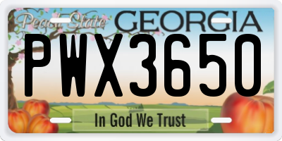 GA license plate PWX3650