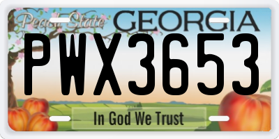 GA license plate PWX3653