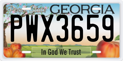 GA license plate PWX3659