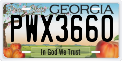 GA license plate PWX3660