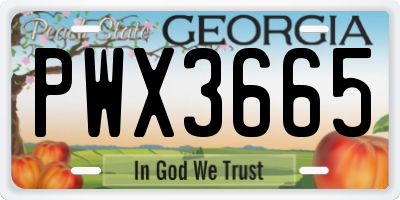 GA license plate PWX3665