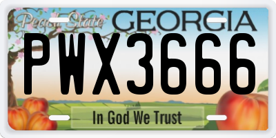 GA license plate PWX3666