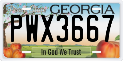 GA license plate PWX3667