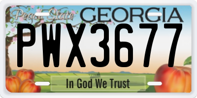GA license plate PWX3677