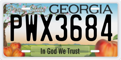 GA license plate PWX3684