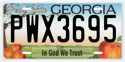 GA license plate PWX3695