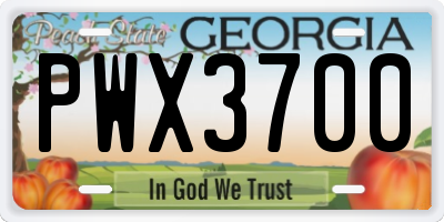 GA license plate PWX3700
