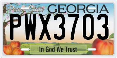 GA license plate PWX3703