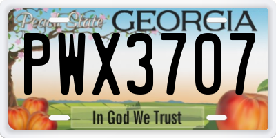 GA license plate PWX3707