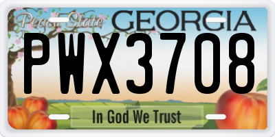 GA license plate PWX3708