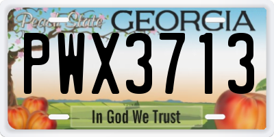 GA license plate PWX3713