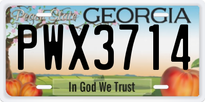 GA license plate PWX3714