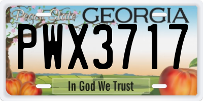 GA license plate PWX3717