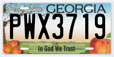 GA license plate PWX3719