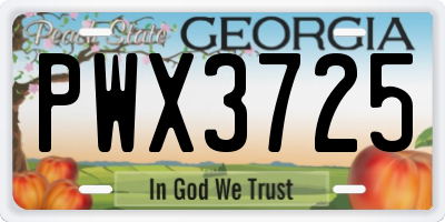 GA license plate PWX3725